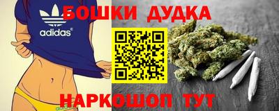 мдпв Будённовск
