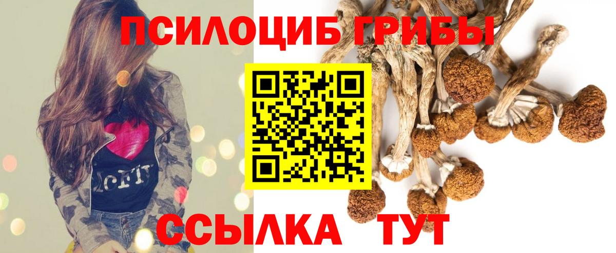 Псилоцибиновые грибы Psilocybine cubensis Тулун