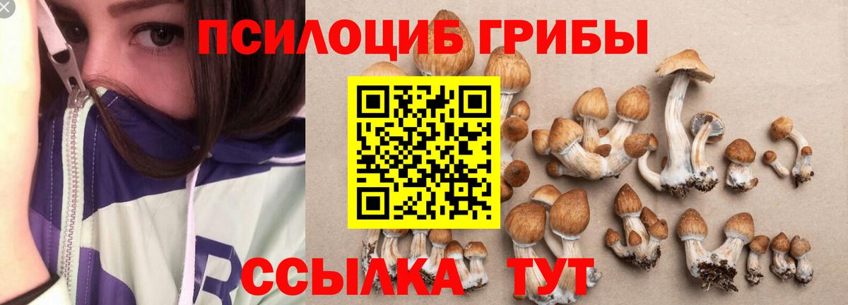 Тулун  Псилоцибиновые грибы Magic Shrooms  наркотики  Вход с VPN 